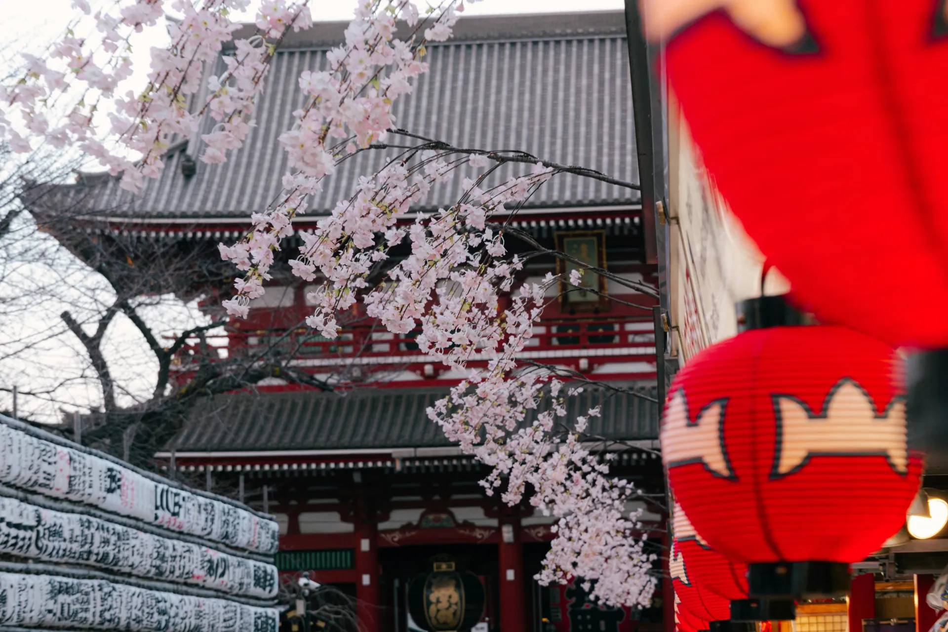 Japan Trips