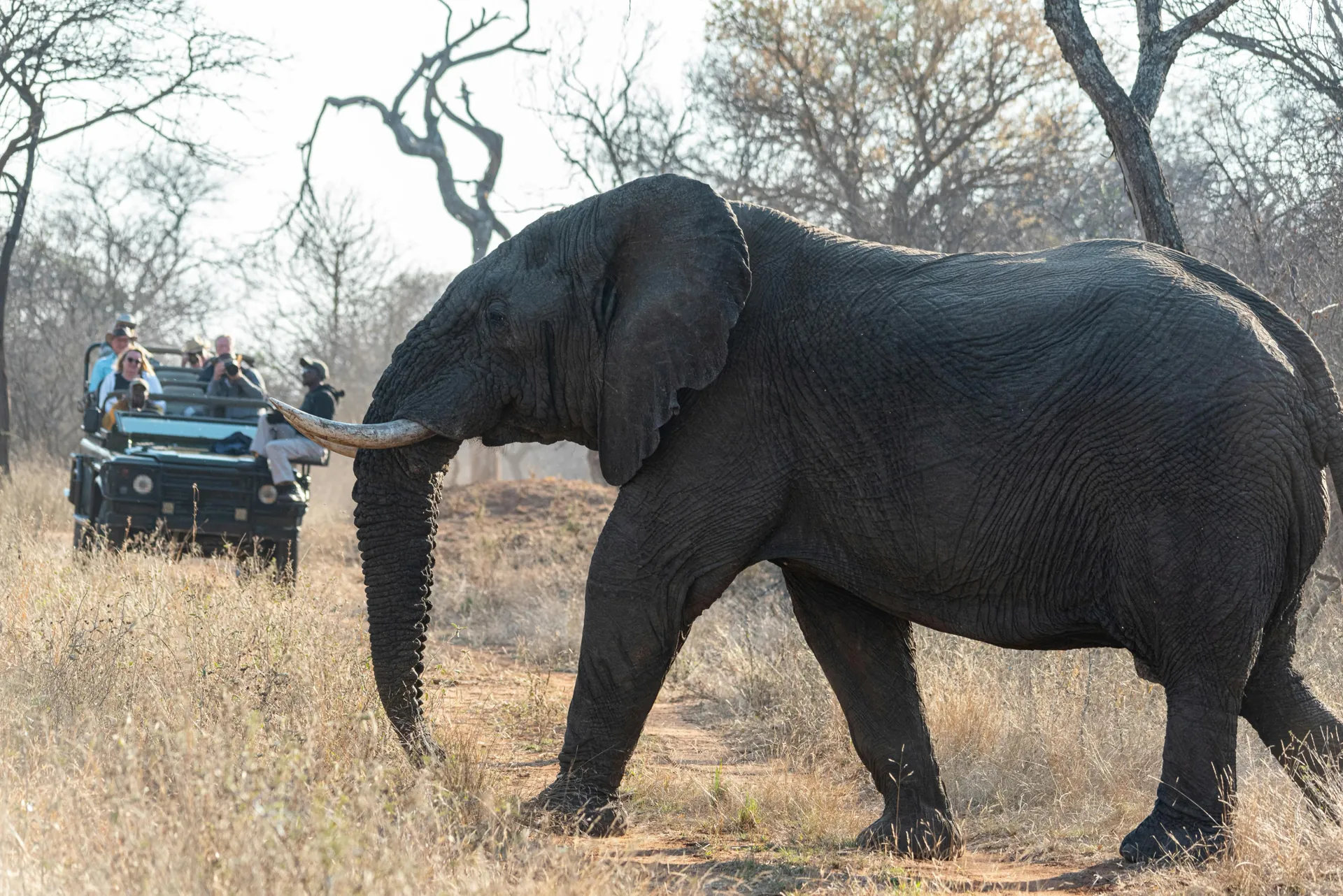 South Africa